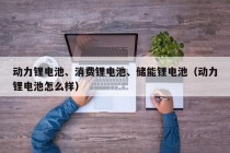 動(dòng)力鋰電池、消費(fèi)鋰電池、儲(chǔ)能鋰電池（動(dòng)力鋰電池怎么樣）