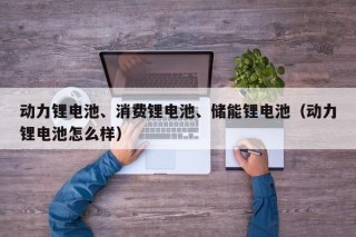 動(dòng)力鋰電池、消費(fèi)鋰電池、儲(chǔ)能鋰電池（動(dòng)力鋰電池怎么樣）