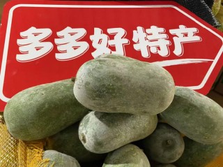 蒙自果潤(rùn)商貿(mào)李庚旭：第四次科技革命的成果，不能只在實(shí)驗(yàn)室更要走進(jìn)農(nóng)家小院