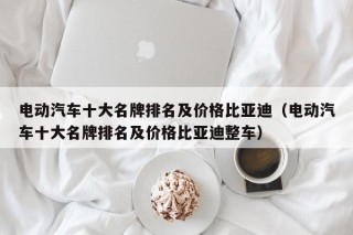 電動(dòng)汽車十大名牌排名及價(jià)格比亞迪（電動(dòng)汽車十大名牌排名及價(jià)格比亞迪整車）