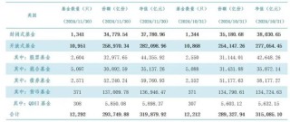 中證A500拉動權益規(guī)模增長，但11月投資者還是更偏向“穩(wěn)穩(wěn)的幸?！?></a></div>
          </div>
          		         	          <div   id=