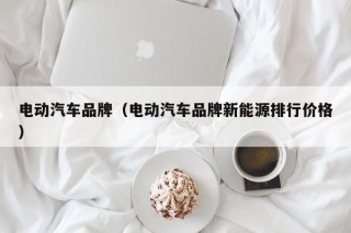 電動汽車品牌（電動汽車品牌新能源排行價格）