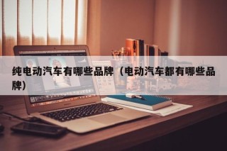 純電動(dòng)汽車(chē)有哪些品牌（電動(dòng)汽車(chē)都有哪些品牌）