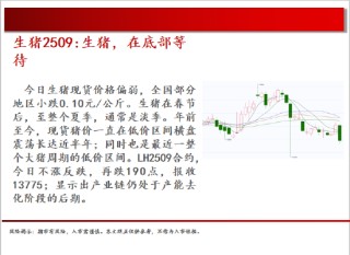 中天期貨:棕櫚震蕩回落 白糖走勢不穩(wěn)