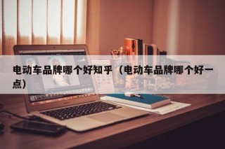 電動車品牌哪個好知乎（電動車品牌哪個好一點）