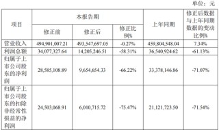 又一A股審計“自爆”！23年IPO上市，次年就財務(wù)造假？