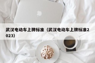武漢電動車上牌標(biāo)準(zhǔn)（武漢電動車上牌標(biāo)準(zhǔn)2023）