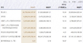 申萬(wàn)宏源去年?duì)I收增長(zhǎng)超15%，投行業(yè)務(wù)收入降逾27%