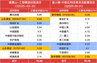 風(fēng)格相似！工銀瑞信盛震山PK中歐基金藍(lán)小康，誰(shuí)更牛？黃金倉(cāng)位均超10%，港股A股跨市場(chǎng)雙重配置