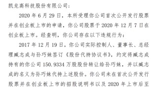 300912，IPO材料造假，隱瞞七年