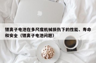 鋰離子電池在多尺度機械損傷下的性能、壽命和安全（鋰離子電池問題）