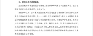 連虧之下，小崧股份五折股權(quán)激勵藏“貓膩”，上演“消失”的臨時(shí)議案