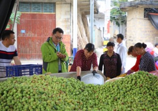 在安徽蕪湖，這家企業(yè)靠賣青梅的公司溜溜梅沖擊IPO