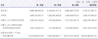 申萬(wàn)宏源去年?duì)I收增長(zhǎng)超15%，投行業(yè)務(wù)收入降逾27%