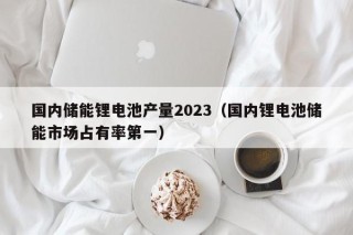 國內(nèi)儲能鋰電池產(chǎn)量2023（國內(nèi)鋰電池儲能市場占有率第一）