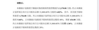 連虧之下，小崧股份五折股權(quán)激勵藏“貓膩”，上演“消失”的臨時(shí)議案