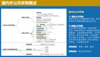 中國聯(lián)合國采購促進(jìn)會(huì)宋嘉：企業(yè)出海是一種戰(zhàn)略選擇