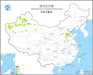 氣象預(yù)警：2025年4月下旬棉花發(fā)育期