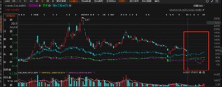 ST嶺南會計差錯更正：這些投資者可索賠！