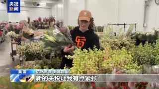 美加稅加到內(nèi)傷 特朗普又催降息 納指“自由落體”進(jìn)熊市