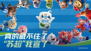 “蘇超”贊助商數(shù)量暴增！京東、伊利等紛紛牽手，官方贊助席位價(jià)格飆升至300萬元