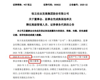 首例！90后獨(dú)董被罰140萬 才干了2個多月 董秘機(jī)智保護(hù)了自己