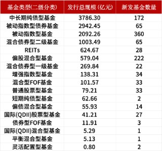 盤點(diǎn)2024新發(fā)基金：1082只新基金亮相市場(chǎng)！華夏基金發(fā)行數(shù)量暫居首位，易方達(dá)基金發(fā)行總規(guī)模領(lǐng)先