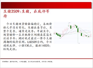 中天期貨:白銀繼續(xù)震蕩 棕櫚大幅反彈