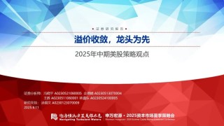 【申萬(wàn)宏源策略】溢價(jià)收斂，龍頭為先——2025年中期美股策略觀點(diǎn)