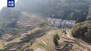 廣西河池持續(xù)旱情影響7萬畝農(nóng)田 多部門緊急送水保民生