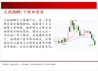 中天期貨:棉花重新走弱 棕櫚探底回升