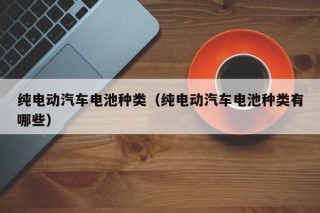 純電動汽車電池種類（純電動汽車電池種類有哪些）