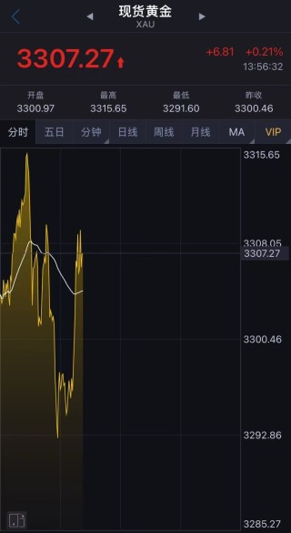 沖上熱搜！黃金重回3300美元，有人砸40萬元買進被“套”！金價還能漲嗎？