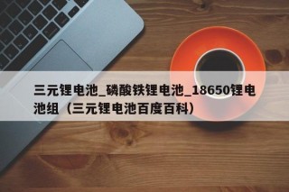 三元鋰電池_磷酸鐵鋰電池_18650鋰電池組（三元鋰電池百度百科）