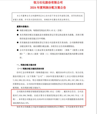 累計(jì)分紅遠(yuǎn)超募資！600346，擬10派4.5元，股息率2.9%！