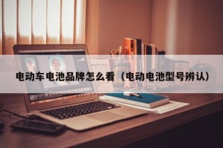 電動車電池品牌怎么看（電動電池型號辨認(rèn)）