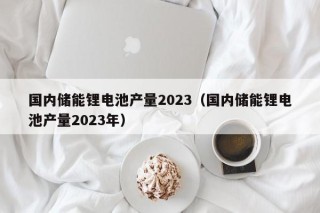 國內(nèi)儲能鋰電池產(chǎn)量2023（國內(nèi)儲能鋰電池產(chǎn)量2023年）