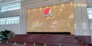 院士董事長肖偉卸任，康緣藥業(yè)接班人會是他嗎？
