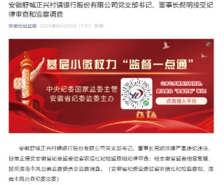 安徽舒城正興村鎮(zhèn)銀行董事長倪明被查