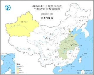 氣象預(yù)警：2025年4月下旬棉花發(fā)育期