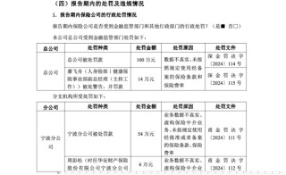 賺了1億后收百萬罰單，華安保險(xiǎn)數(shù)據(jù)造假成“重災(zāi)區(qū)”？