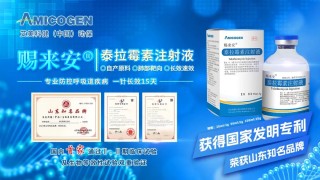出欄了！頭均可賺150-200，五一備貨提振豬價