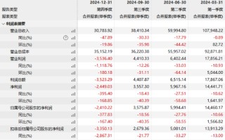 營收三連降！ST九芝2024年凈利潤暴跌27%