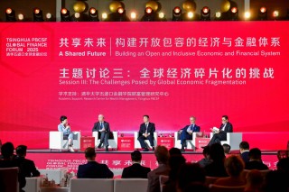 如何應(yīng)對全球經(jīng)濟碎片化的挑戰(zhàn)？歐陽衛(wèi)民：“大家好才是真的好”