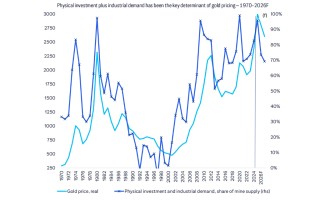 華爾街的”黃金空頭“：金價今年見頂，明年開始下跌？