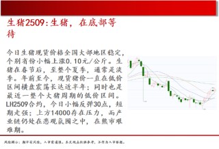 中天期貨:棕櫚大漲的高位調(diào)整 尿素繼續(xù)大漲