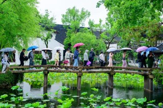 端午小長(zhǎng)假“好玩不貴”：周邊游出游人次占比近50%，主題樂(lè)園景區(qū)最受歡迎