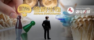 “金針菇大王”超5億賣身，“85后”新老板什么來頭？