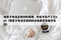 鋰離子電池正極材料原理、性能與生產(chǎn)工藝ppt（鋰離子電池正極材料合成表征及操作實例）
