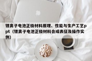 鋰離子電池正極材料原理、性能與生產(chǎn)工藝ppt（鋰離子電池正極材料合成表征及操作實(shí)例）
